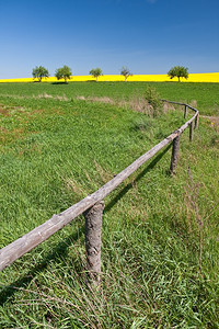 春时的场草地平线农业图片