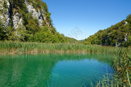 夏季明朗天气的池塘风景图片