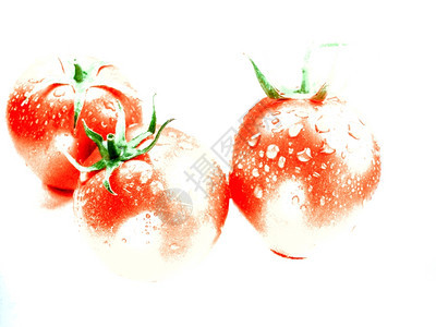 沙拉水果白底红西番茄新美食图片