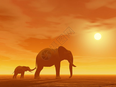 辉光公园小大象拿着木乃伊的排成日落妈和小大象三维化身拂晓图片