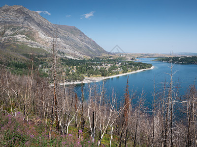 Waterton湖水顿公园景观蓝色天空加拿大艾伯塔全景假期蓝色的图片