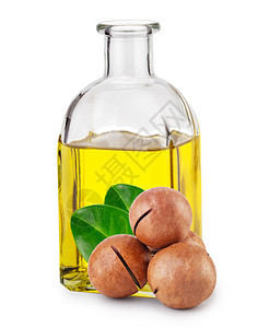 种子治疗一瓶装和坚果中的麦加达米亚油将叶子分离在白色背景上瓶装和坚果中的麦加多米油图片
