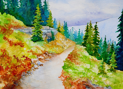 云杉由美丽的班夫公园山径所启发的原始水彩绘画在Banff公园中作品艺术家图片