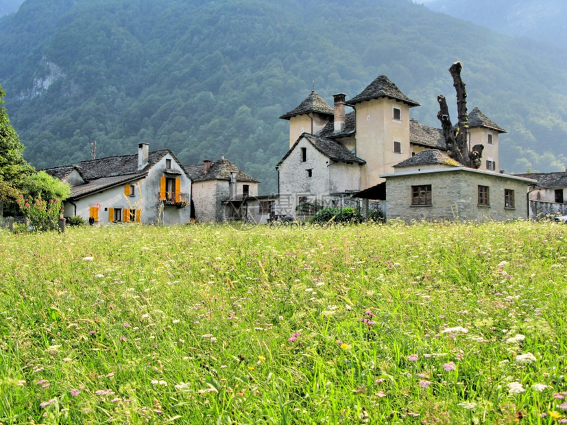 典型的瑞士南部Verzasca山谷的老拖拉多建造屋顶图片