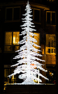 夜间灯光点亮的圣诞树图片