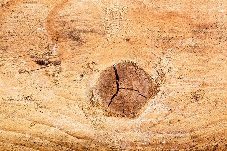 木板树优质的温暖棕色松木纹理特写背景松木纹理特写图片
