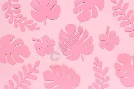 放粉红色热带树叶图案背景上的时尚热带树叶平铺自上而下的构图创意纸艺粉红色热带树叶图案背景上的时尚热带树叶自然艺术品图片