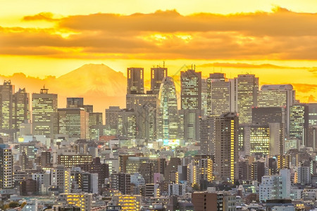 都会著名的东京市天际新宿和富士山的顶端景色日本落美丽全景图片