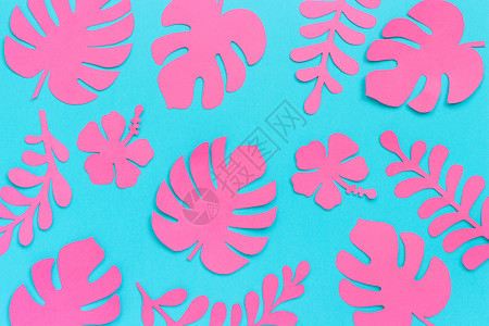 热带树叶图案蓝色背景上流行的粉色热带纸叶平铺自上而下的构图创意纸艺蓝色背景上的时尚粉色热带纸叶平躺创意纸艺花旅行假期图片