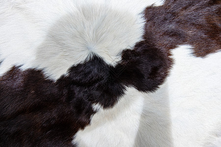 有质感的棕色牛皮外衣纹理黑白和棕色斑点细节外套图片