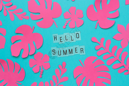 夏威夷植物群时尚的粉红色热带纸叶和蓝背景上的文字题词你好夏天平躺自上而下的构图创意纸艺术图片