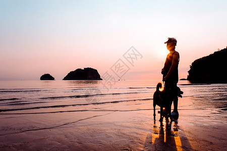 宠物日出时沙滩上的高级女子和狗自然夏天图片素材