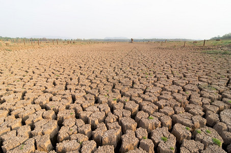 热的生活裂缝全球升温夏季的干旱地面是燥的蓄水池梅穆赫兰邦泰国全球变暖干旱图片