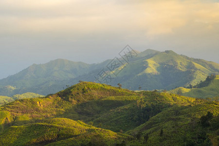 山丘森林风景图片