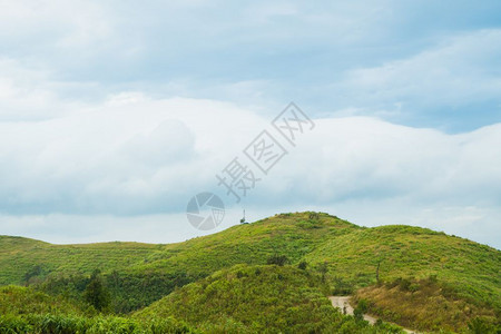 山丘森林风景图片