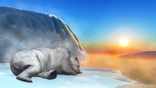 之上气候北极熊在日落前睡冰山上3D变成北极熊海图片