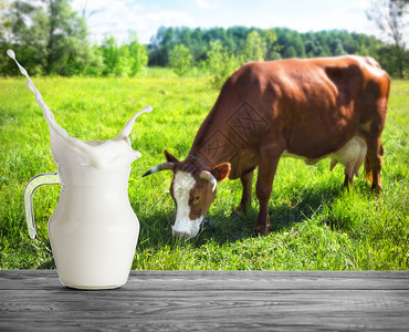 木制的一瓶牛奶在的背景上溅起水花一壶牛奶站在木桌上背景是牧场里一头棕色的奶牛桌子乡村图片