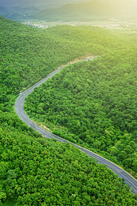 地平线日出时山路穿越区的沥青路和绿林弯曲式柏油路天线森林图片