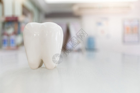 桌上人工牙齿模型图片