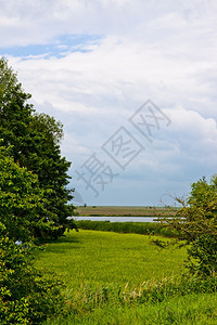 阳光明媚的夏日自然农村景观黄色的和平春天图片