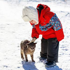小男孩玩在雪中的猫寒冷俏皮水平图片