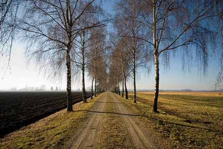 乡村的季节农德国田的一条家小道图片