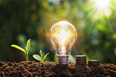 金融的投资货币利用树木和硬在土壤阳光上装有灯泡的闪光和硬币背景概念节省能源和资金图片