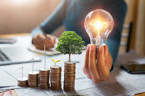植物金融拥有灯泡涡轮机和树木的商人靠硬币种植节省能源和财务会计概念力量图片