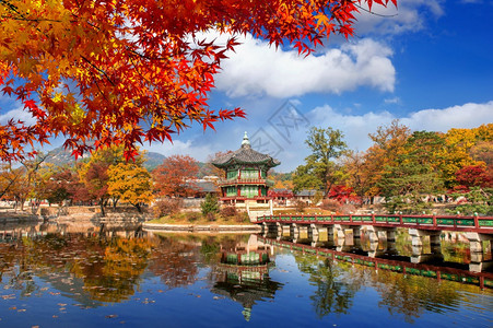 秋季红色枫林中的古建筑图片