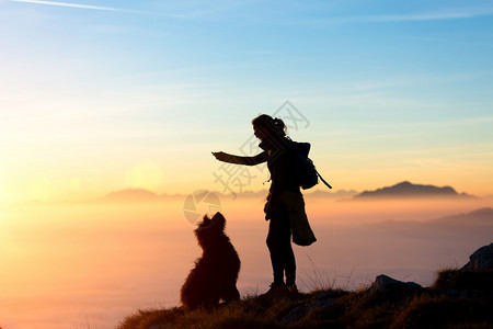 喜悦训练女孩在山上玩他的狗在山里教他把食物坐着吃图片