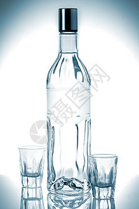 酒象征瓶伏特加和冰块茶点图片