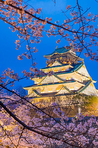 绽放亚洲大阪城堡日本樱花满天开博物馆图片