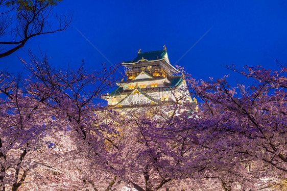 日本人大阪城堡日本樱花满天开历史的图片