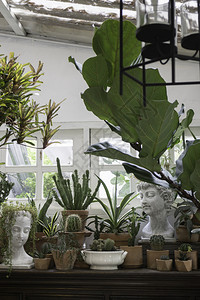 环境的餐厅郁葱装饰客厅室内风格绿色生态环境配有植物和存货照片的绿色生态环境图片