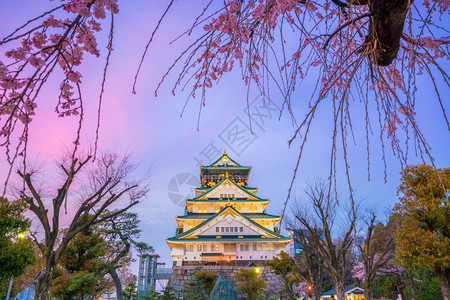 照明大阪城堡日本樱花满天开季节春图片