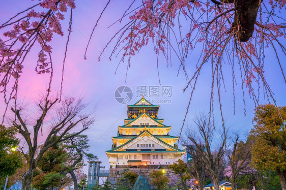 照明大阪城堡日本樱花满天开季节春图片