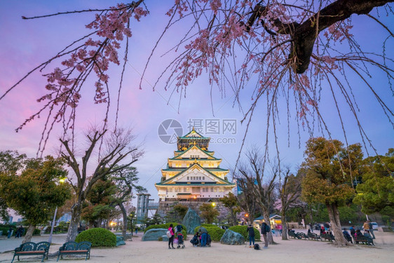 大阪城堡日本樱花满天开博物馆见季节图片