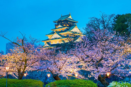 地标大阪城堡日本樱花满天开园照明图片