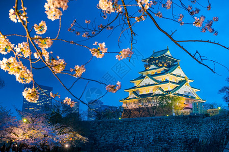 日本城市天空大阪城堡日本樱花满天开人古老的背景