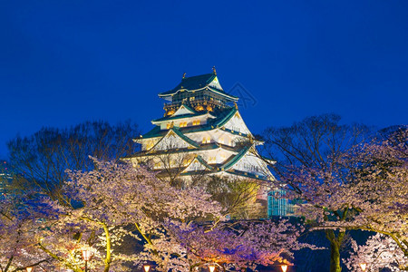 城市满的大阪堡日本樱花满天开粉色的图片