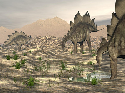 恐龙在沙漠地势的中行走到水的恐龙在附近巨大的脊椎动物步行图片