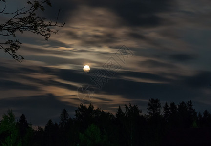 夜间晚在森林满月长的夜云中闪亮月之夜射入云中喜怒无常新的图片