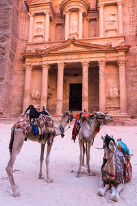 城市旅游在约旦古城AlKhazneh的Petra财政部面前的骆驼正图片