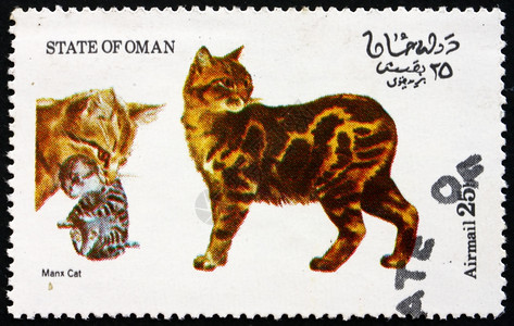 马克斯宠物阿曼大约1973年一张印在阿曼州的邮票显示马恩岛猫大约年服务图片