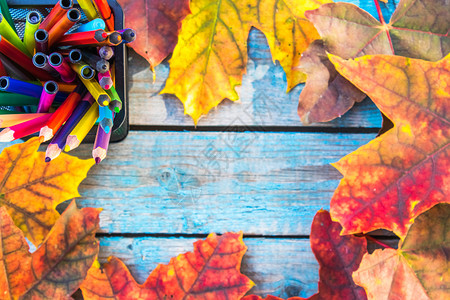 多色铅笔和秋天枫叶图片