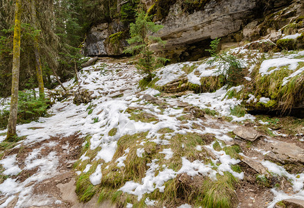 木头户外加拿大艾伯塔省班夫公园约翰斯顿峡谷足迹的冬季景象石灰图片