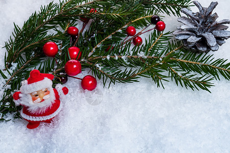 新年背景圣诞老人的树枝和雪上红浆果冬天十二月假期图片