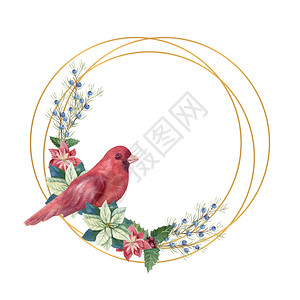 一品红金色几何框架包括冬季dcor和红鸟水彩圣诞插图金色几何框架冬季dcr和红鸟水彩画插图优质的华丽图片