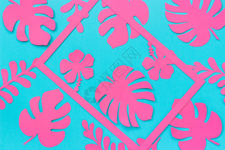 边界植物群时髦的热带树叶图案时尚粉色热带树叶纸和蓝色背景框架平铺自上而下的构图创意纸艺术热带树叶图案时尚粉色热带纸叶和蓝背景框架图片