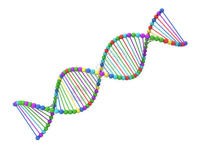 遗传上Dna螺旋3d插图在白色背景上孤立分子科学图片